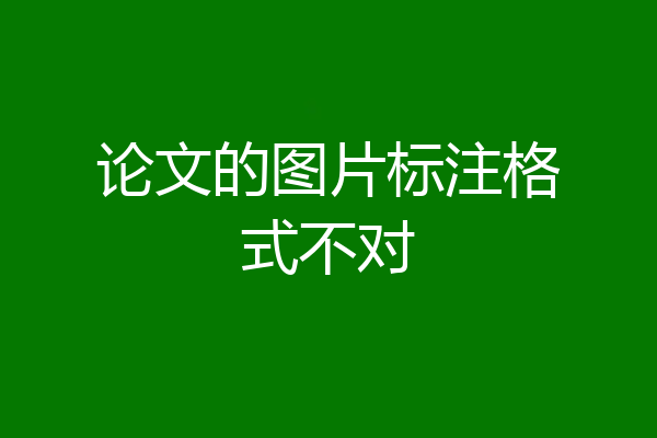 论文的图片标注格式不对