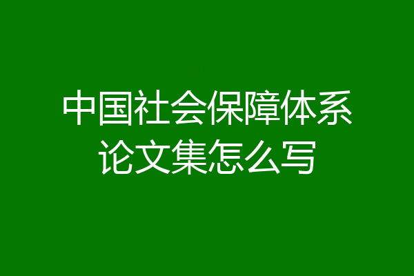 中国社会保障体系论文集怎么写
