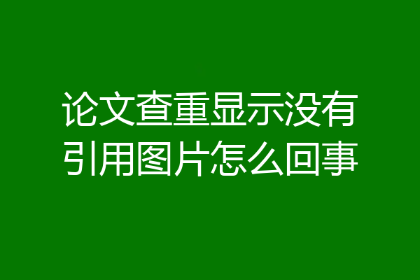 论文查重显示没有引用图片怎么回事