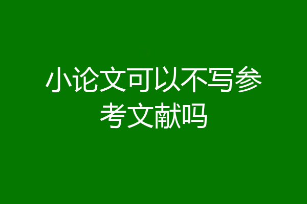 小论文可以不写参考文献吗