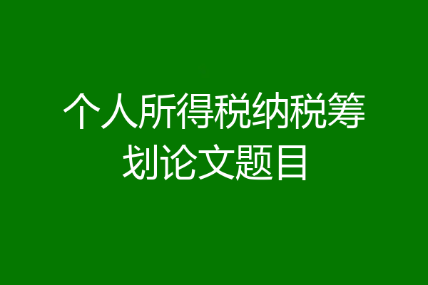 个人所得税纳税筹划论文题目