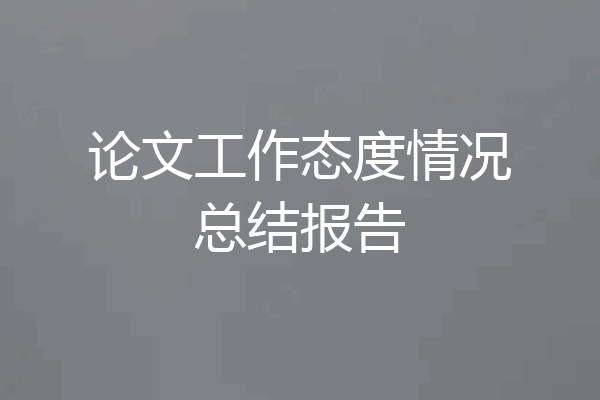论文工作态度情况总结报告
