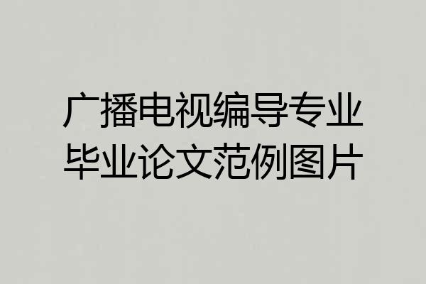 广播电视编导专业毕业论文范例图片