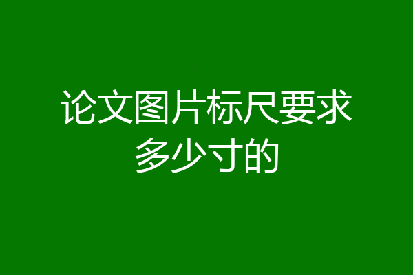 论文图片标尺要求多少寸的