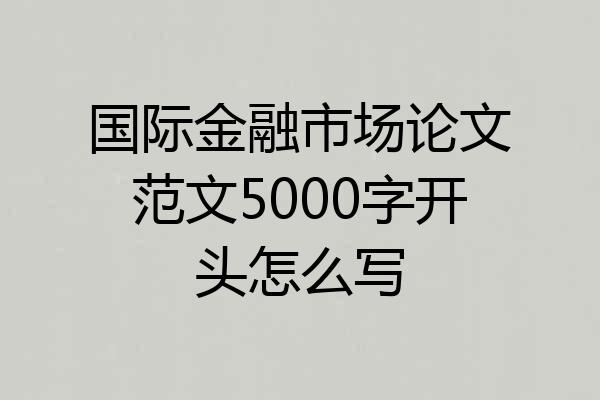 国际金融市场论文范文5000字开头怎么写