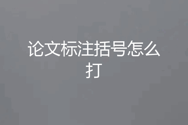 论文标注括号怎么打