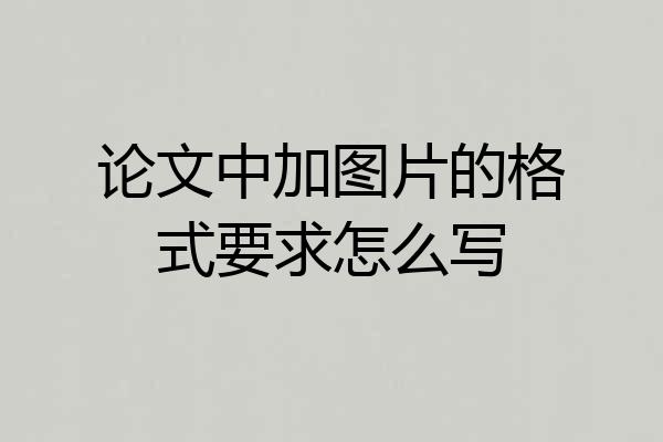 论文中加图片的格式要求怎么写