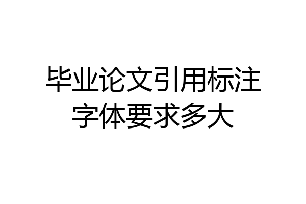 毕业论文引用标注字体要求多大