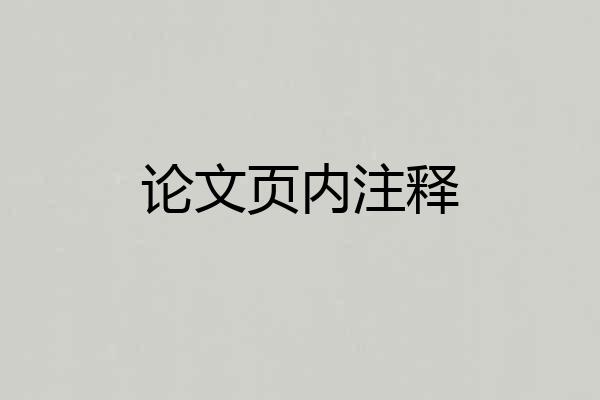 论文页内注释
