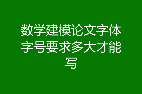 数学建模论文字体字号要求多大才能写