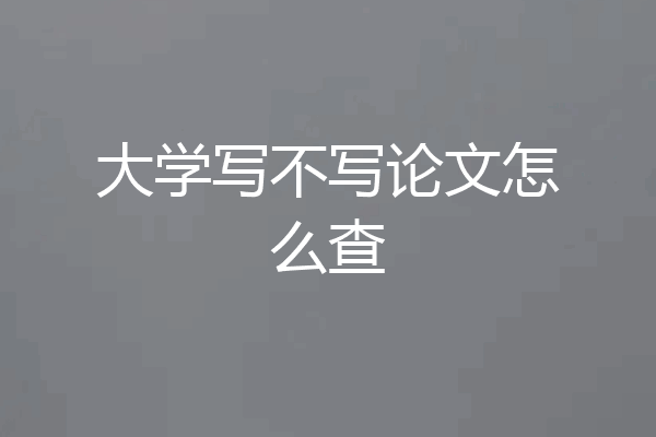 大学写不写论文怎么查