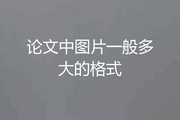 论文中图片一般多大的格式