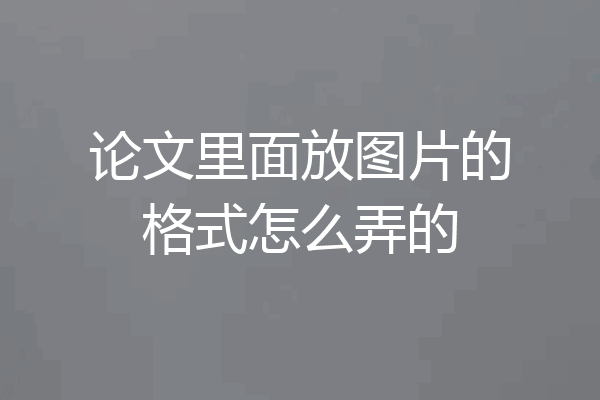 论文里面放图片的格式怎么弄的