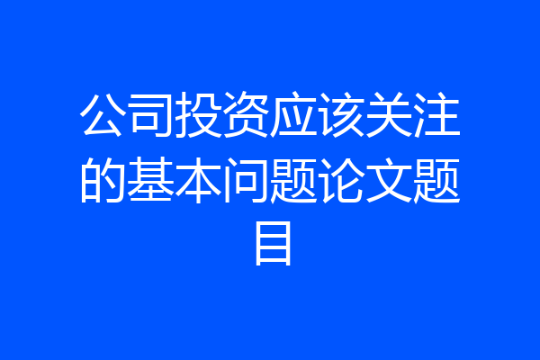 公司投资应该关注的基本问题论文题目