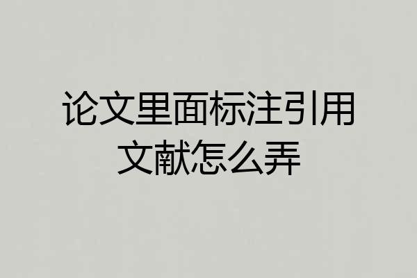 论文里面标注引用文献怎么弄