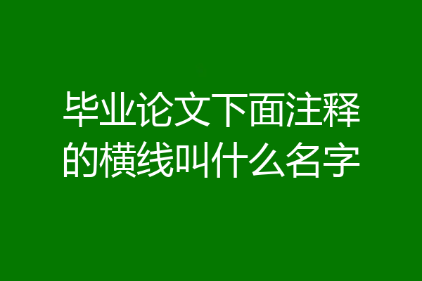 毕业论文下面注释的横线叫什么名字