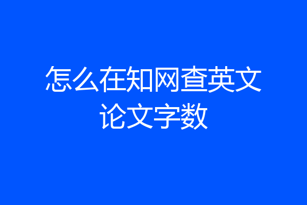 怎么在知网查英文论文字数