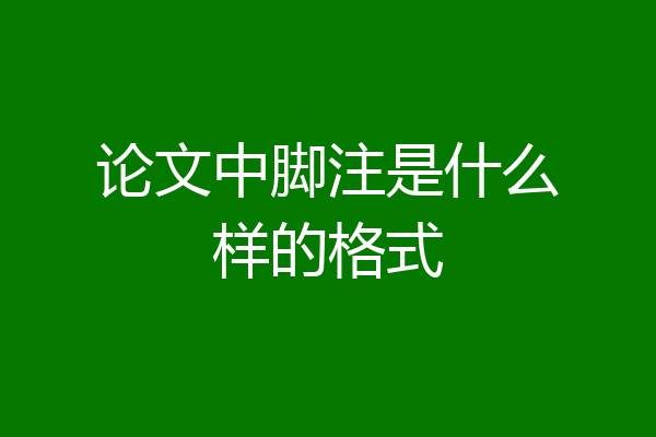 论文中脚注是什么样的格式