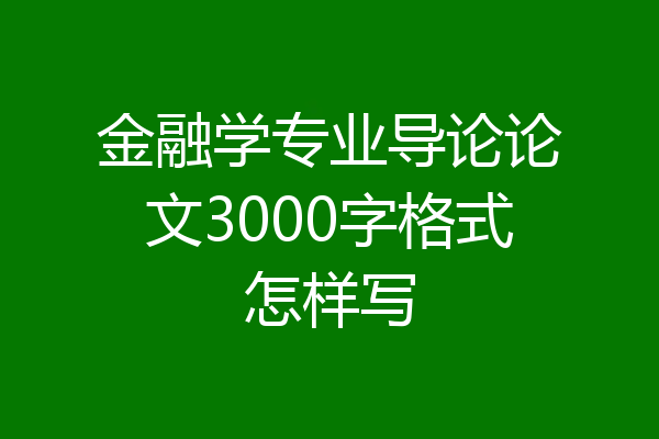 金融学专业导论论文3000字格式怎样写