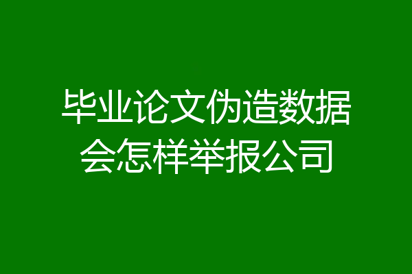 毕业论文伪造数据会怎样举报公司
