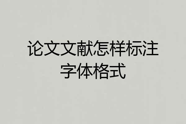 论文文献怎样标注字体格式