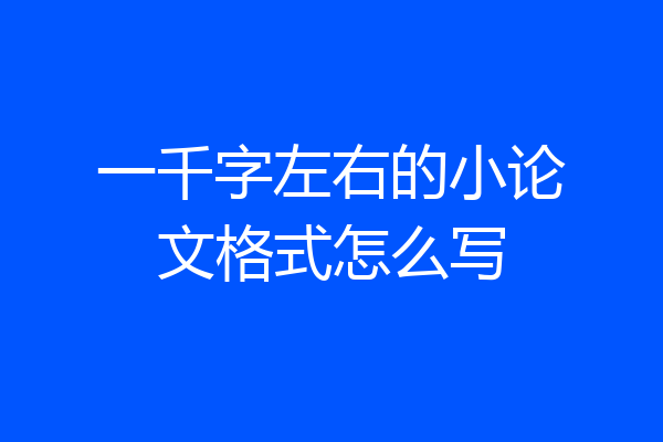 一千字左右的小论文格式怎么写