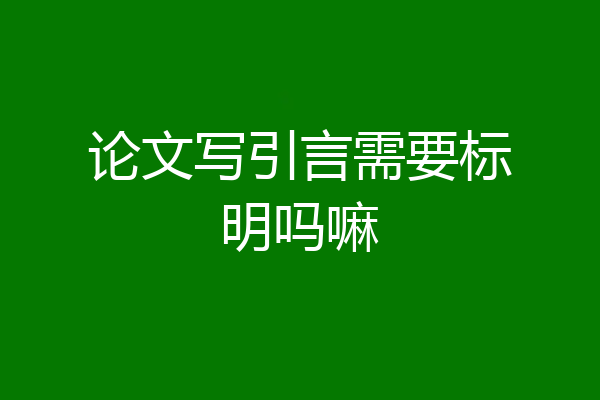 论文写引言需要标明吗嘛
