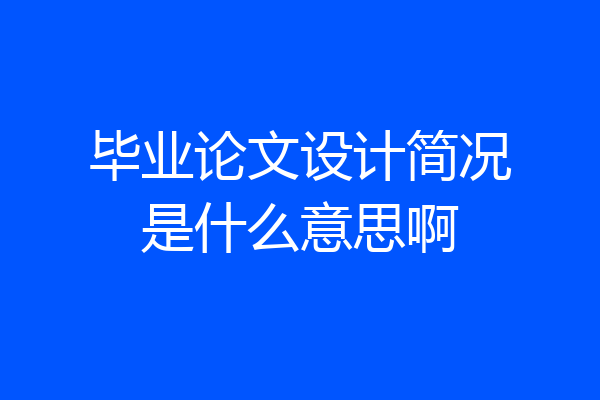 毕业论文设计简况是什么意思啊