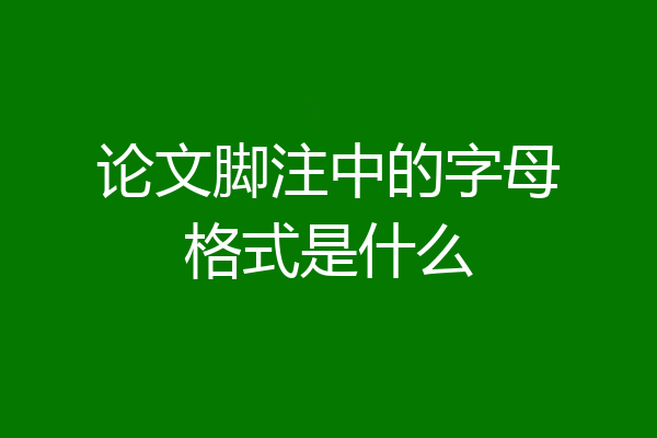 论文脚注中的字母格式是什么