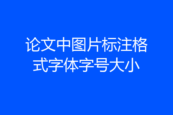 论文中图片标注格式字体字号大小