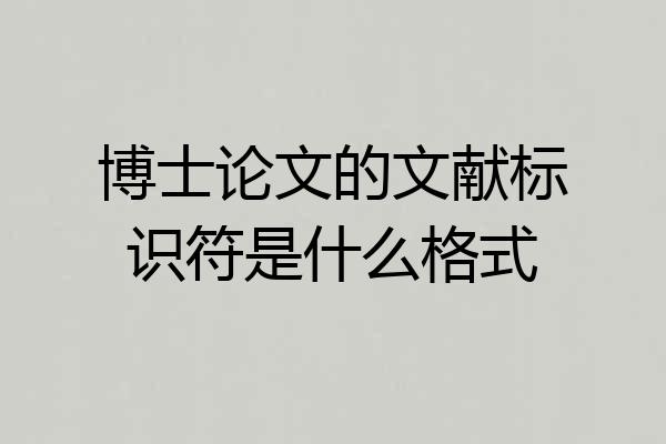 博士论文的文献标识符是什么格式