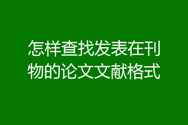 怎样查找发表在刊物的论文文献格式