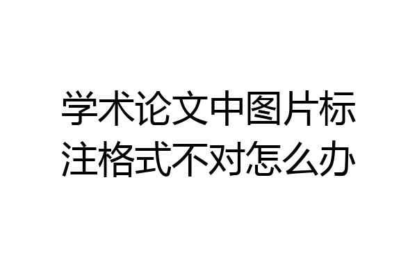 学术论文中图片标注格式不对怎么办
