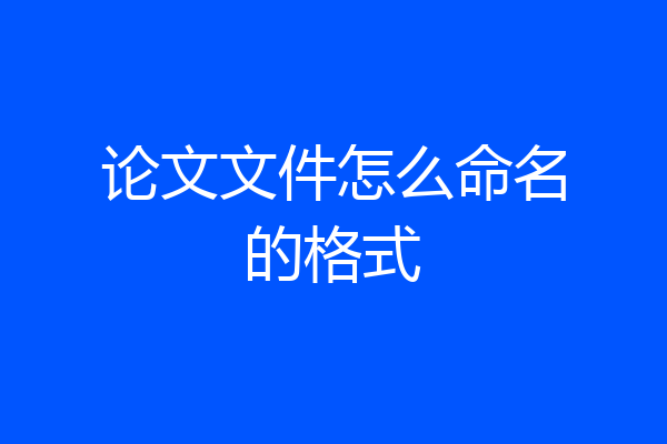 论文文件怎么命名的格式