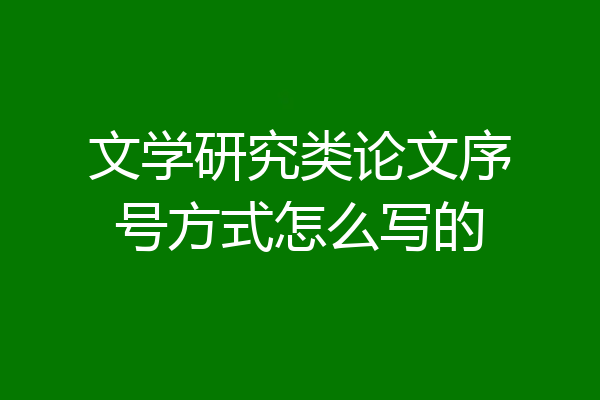 文学研究类论文序号方式怎么写的