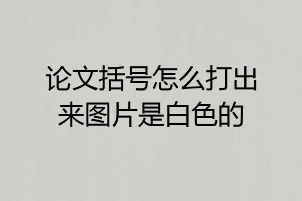 论文括号怎么打出来图片是白色的