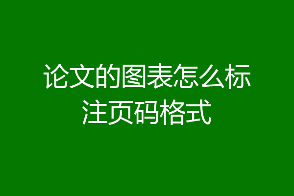 论文的图表怎么标注页码格式