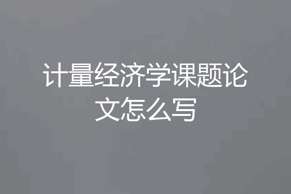 计量经济学课题论文怎么写
