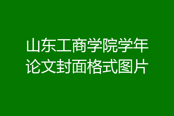 山东工商学院学年论文封面格式图片