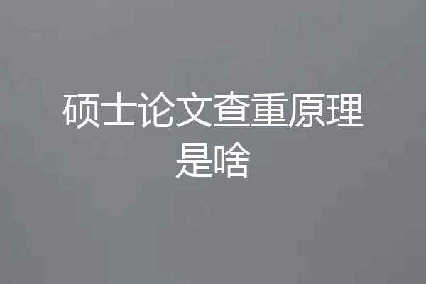硕士论文查重原理是啥