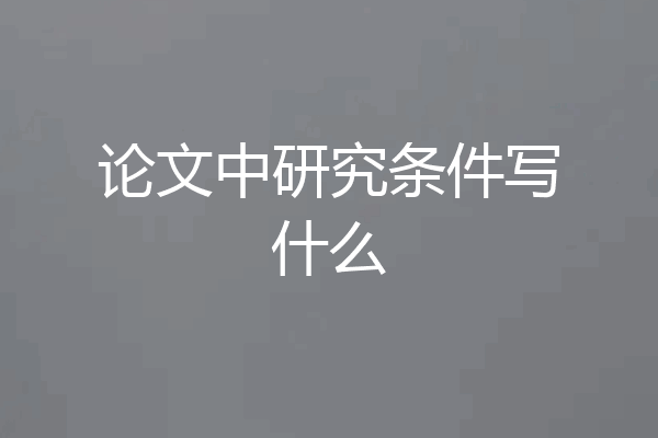 论文中研究条件写什么