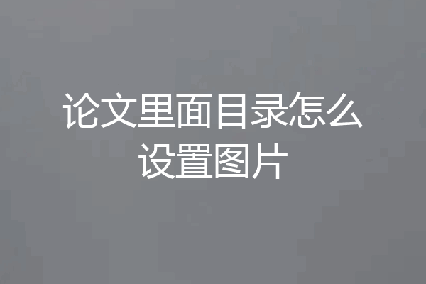 论文里面目录怎么设置图片