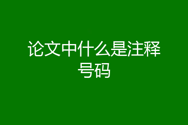 论文中什么是注释号码