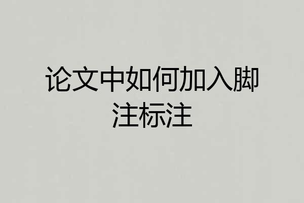 论文中如何加入脚注标注