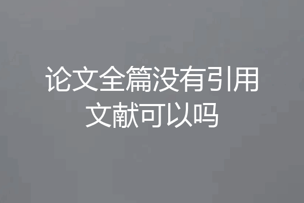 论文全篇没有引用文献可以吗