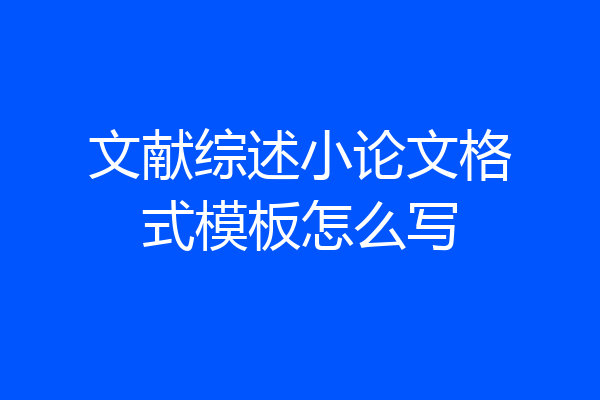 文献综述小论文格式模板怎么写