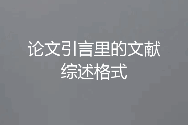 论文引言里的文献综述格式