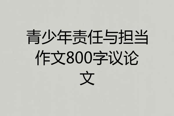 青少年责任与担当作文800字议论文