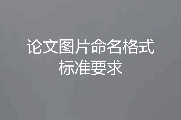 论文图片命名格式标准要求