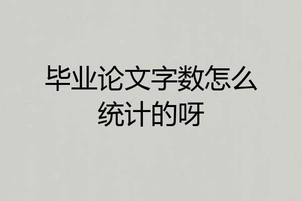 毕业论文字数怎么统计的呀